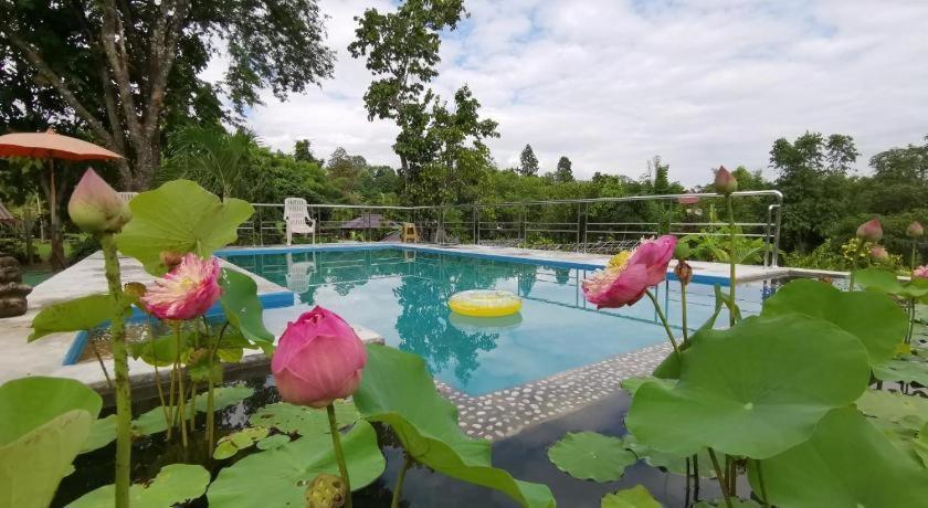 Ban Rai Tin Thai Ngarm Eco Lodge Mae Rim Εξωτερικό φωτογραφία