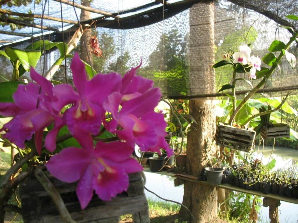 Ban Rai Tin Thai Ngarm Eco Lodge Mae Rim Εξωτερικό φωτογραφία